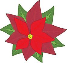 221x209 Free Christmas Poinsettia Clipart