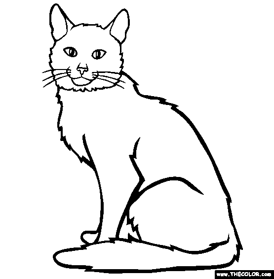 555x566 Cat Coloring Pages Cats Coloring Pages Cool Cats
