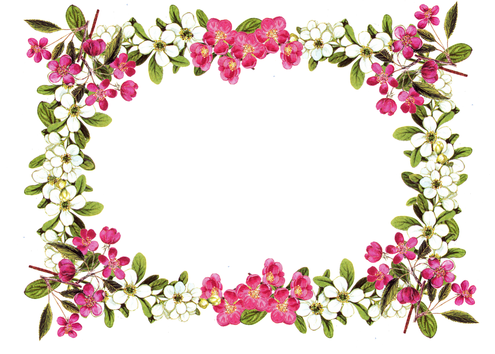 free-printable-flower-templates-clipart-free-download-on-clipartmag