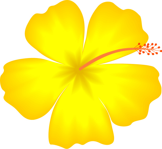 655x603 Hawaiian Borders Clipart
