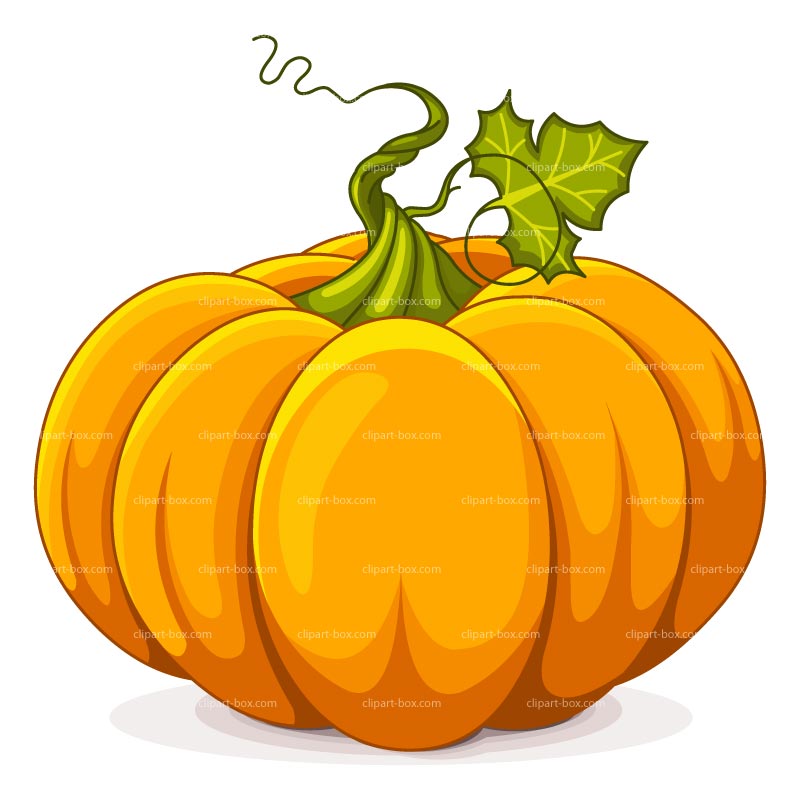 800x800 Pumpkin Images Clip Art Many Interesting Cliparts