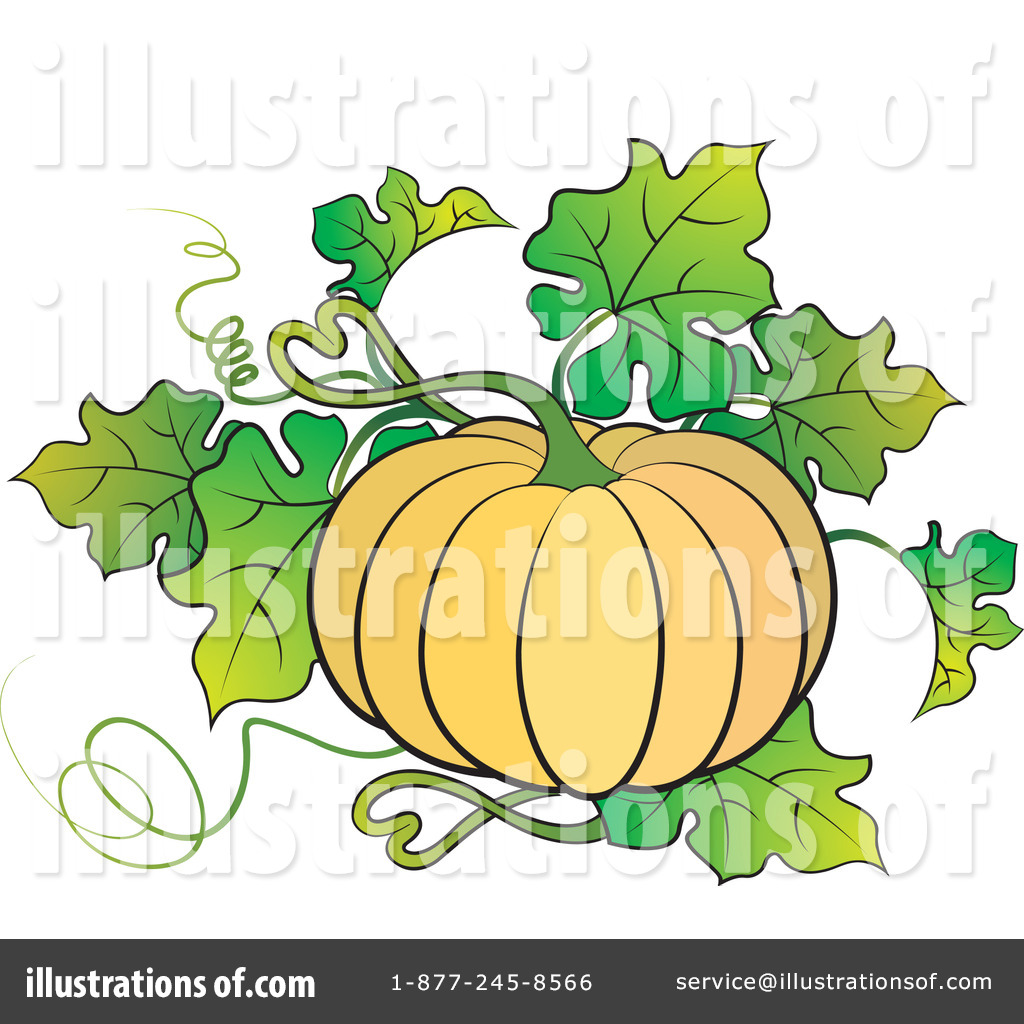 1024x1024 Pumpkin Clipart