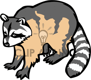 300x264 Raccoon Clip Art