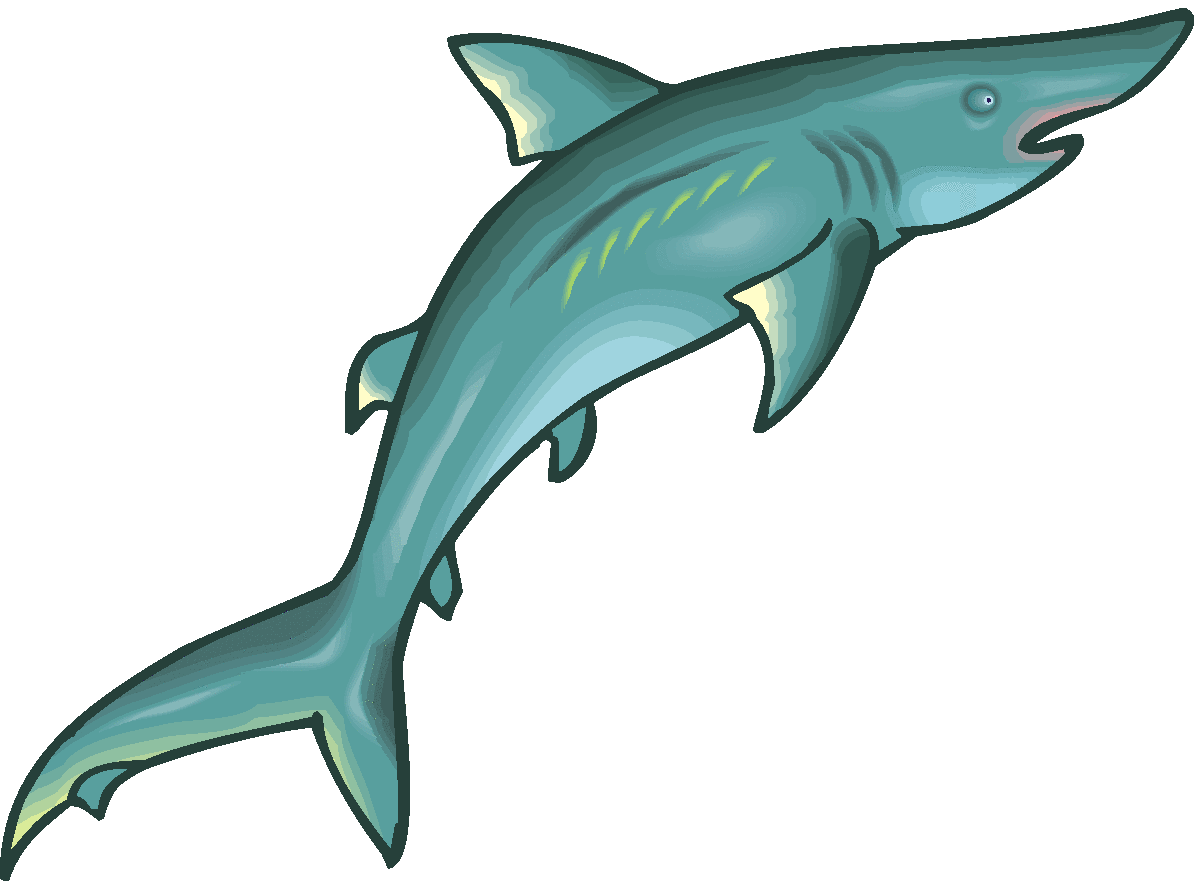 1200x881 Free Shark Clipart 3