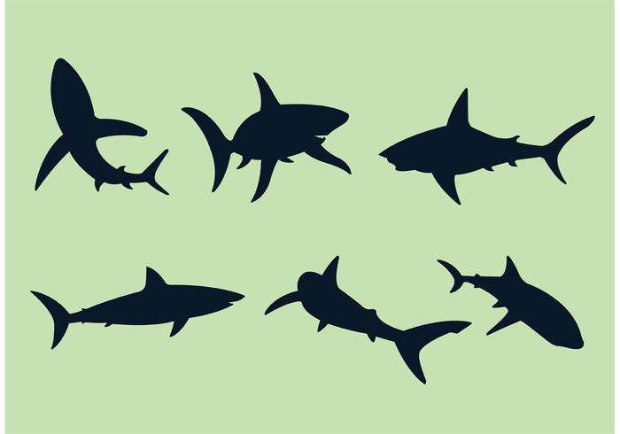 700x490 Shark Free Vector Art