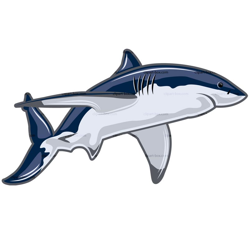 800x800 Shark Clipart Favorite Sites Sharks Shark Image 0