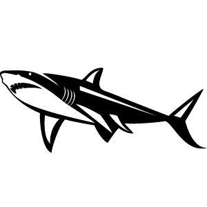 300x300 Vector Shark Clipart, Explore Pictures