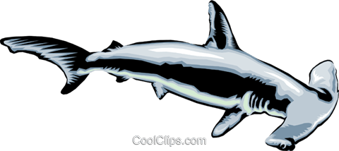 480x214 Hammerhead Shark Royalty Free Vector Clip Art Illustration