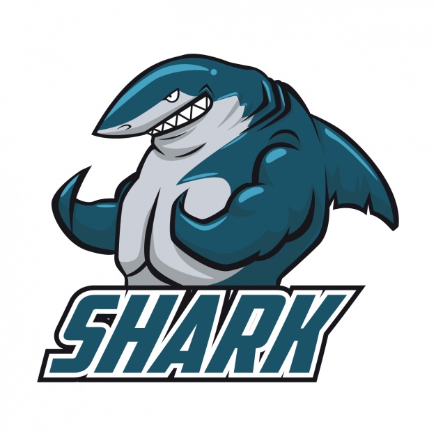 626x626 Coloured Shark Design Vector Free Download