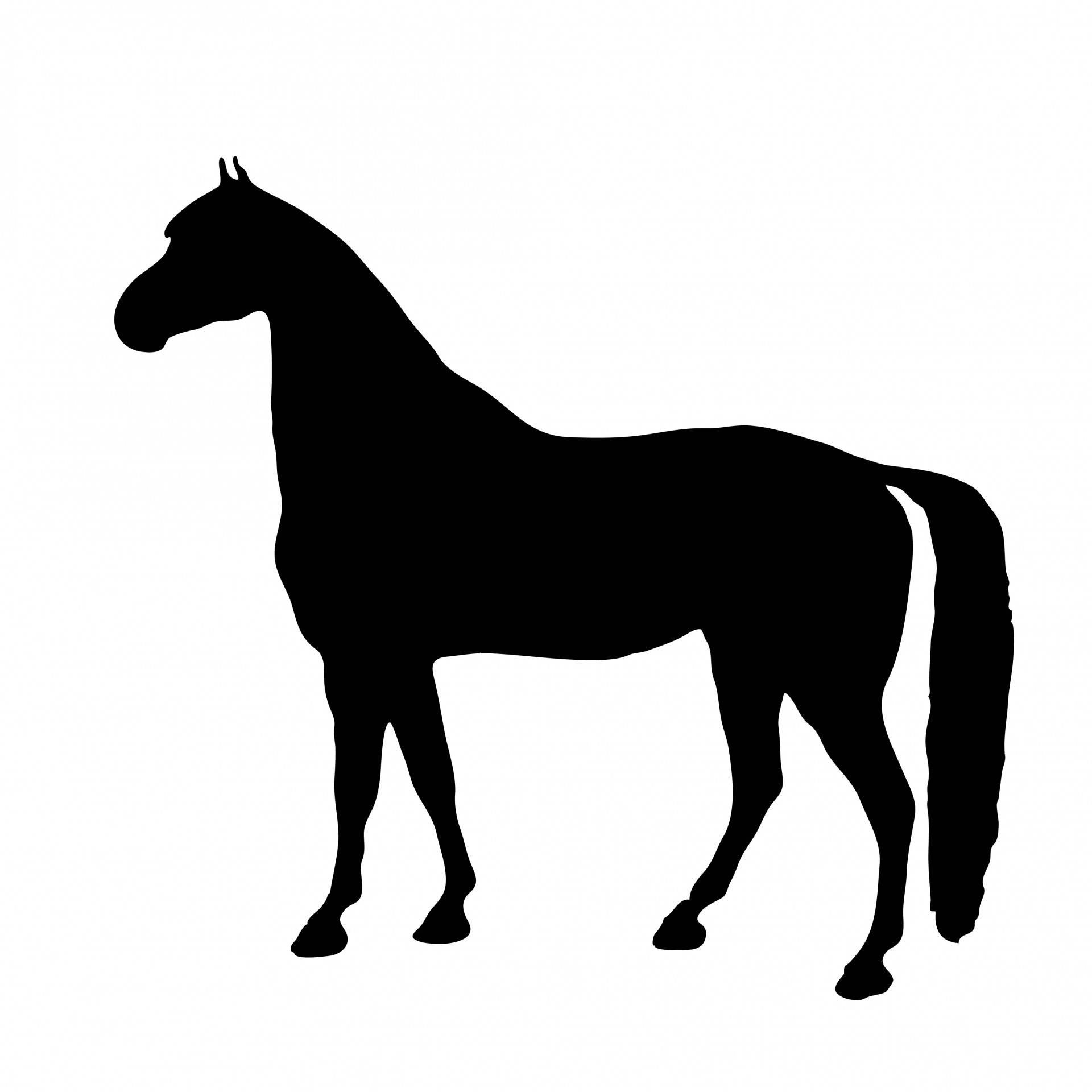 1920x1920 Horse Silhouette Clip Art Many Interesting Cliparts