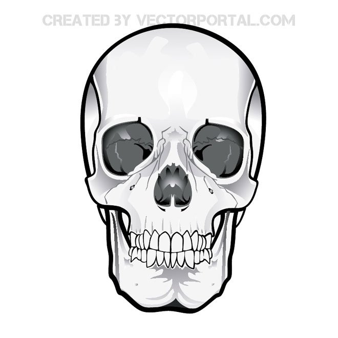 660x660 Skull Clipart 2 Free Vector 123freevectors