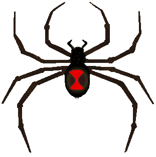 311x312 Spider Clipart Black Widow Spider