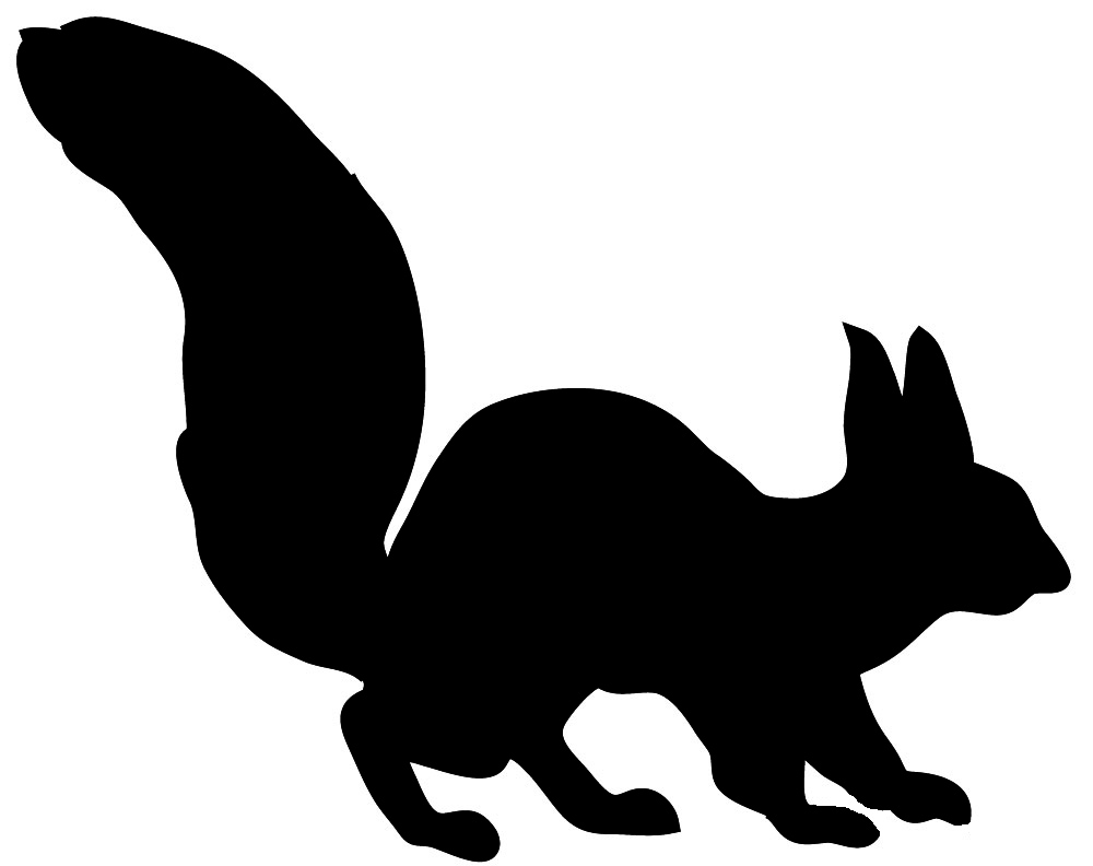 1000x792 Red Squirrel Clipart Silhouette