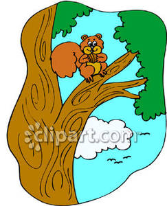243x300 Squirrel Clipart Tree Clipart