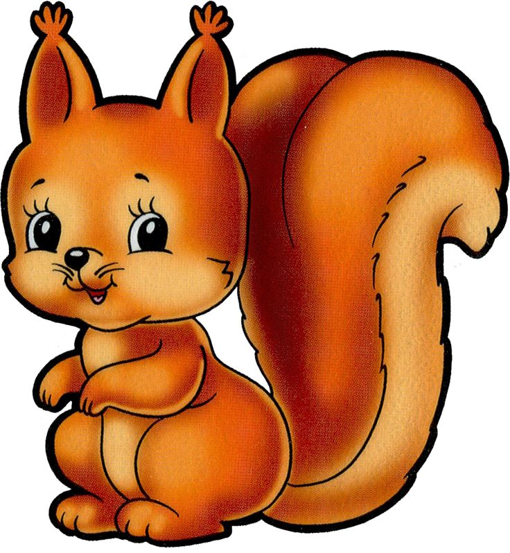736x798 Top 87 Squirrel Clip Art