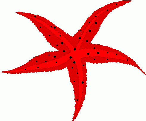 490x407 Free Starfish Clip Art Clipart