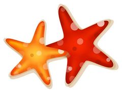 240x179 Starfish Illustrations And Clipart 1 Starfish Royalty Free Image
