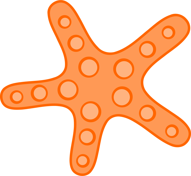 800x736 Tribal Clipart Starfish