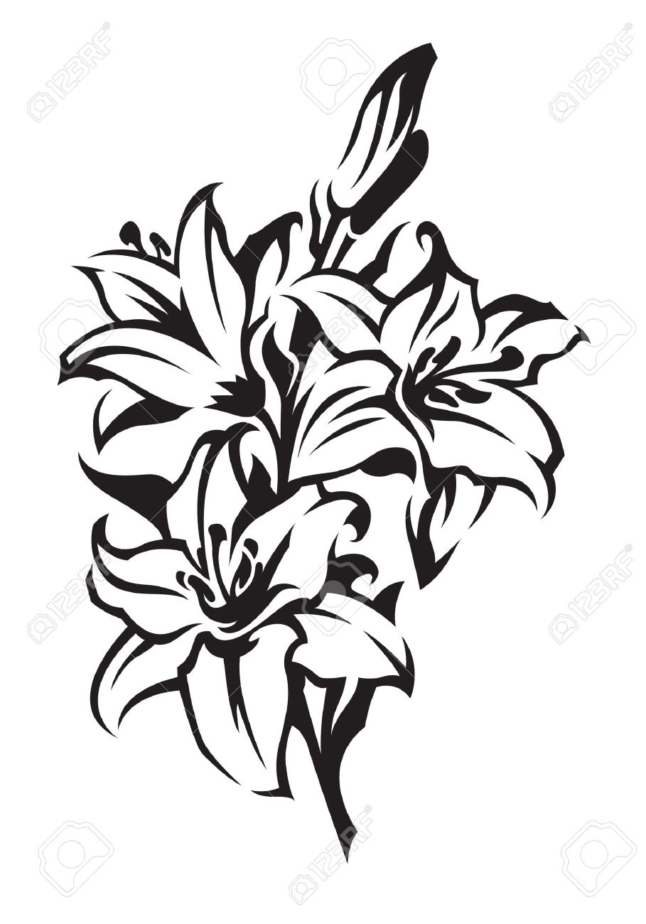 909x1300 Lily Royalty Free Cliparts, Vectors, And Stock Illustration. Image