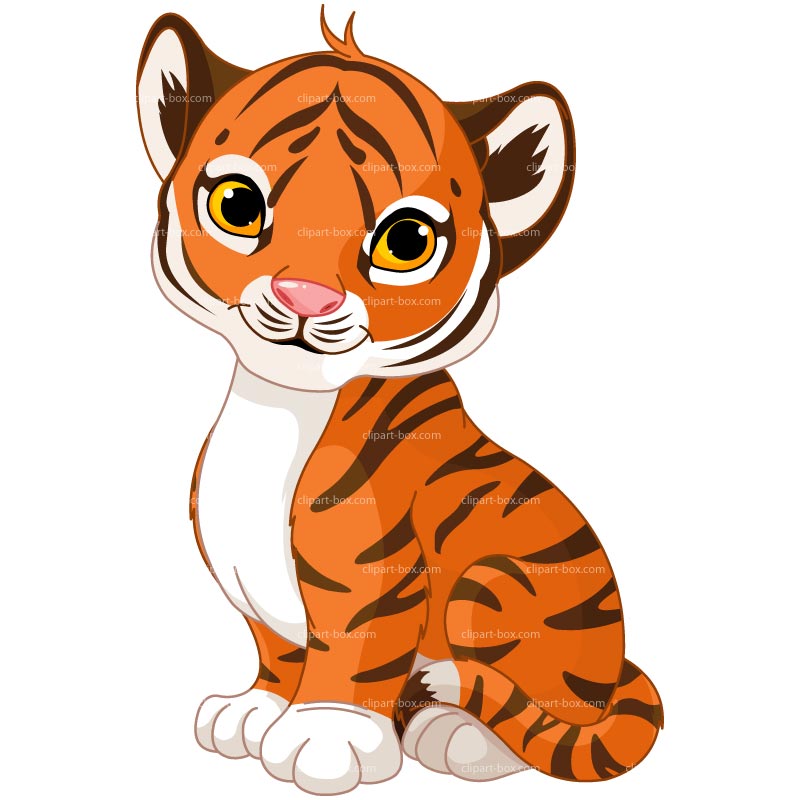 800x800 Baby Tiger Clipart