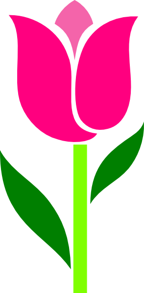 294x596 Pink Tulip Leaves Askew Clip Art