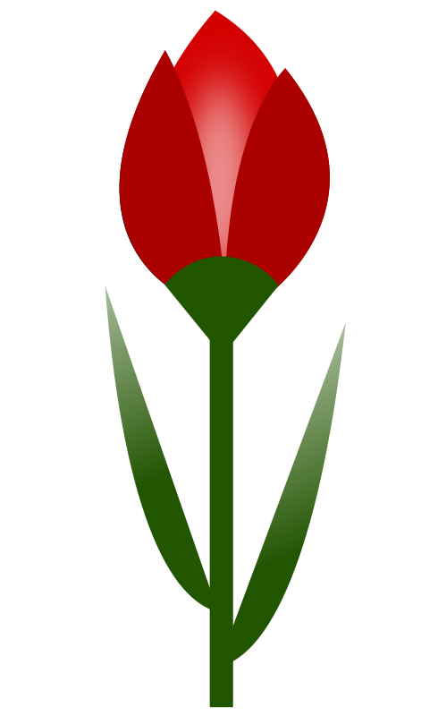 490x800 Free To Use Amp Public Domain Tulip Clip Art