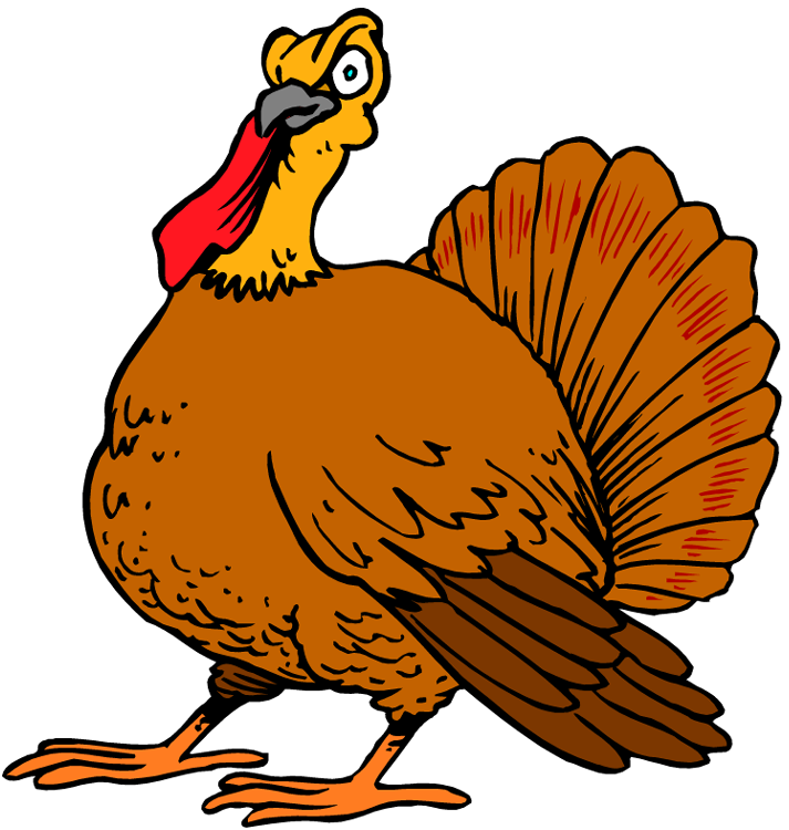 713x750 Turkey Clip Art Pictures Free Clipart Images