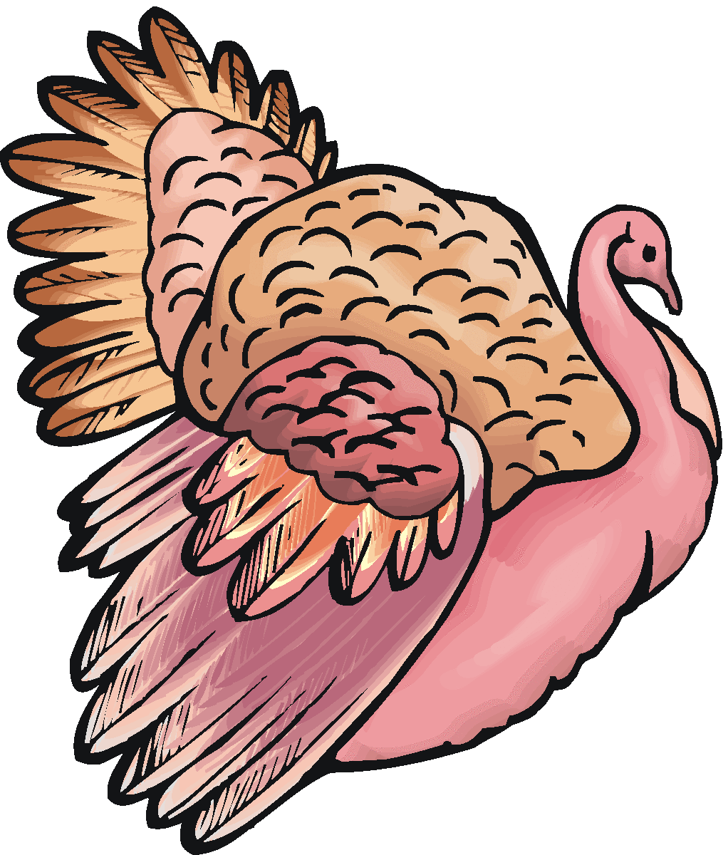 1022x1200 Free Turkey Clipart