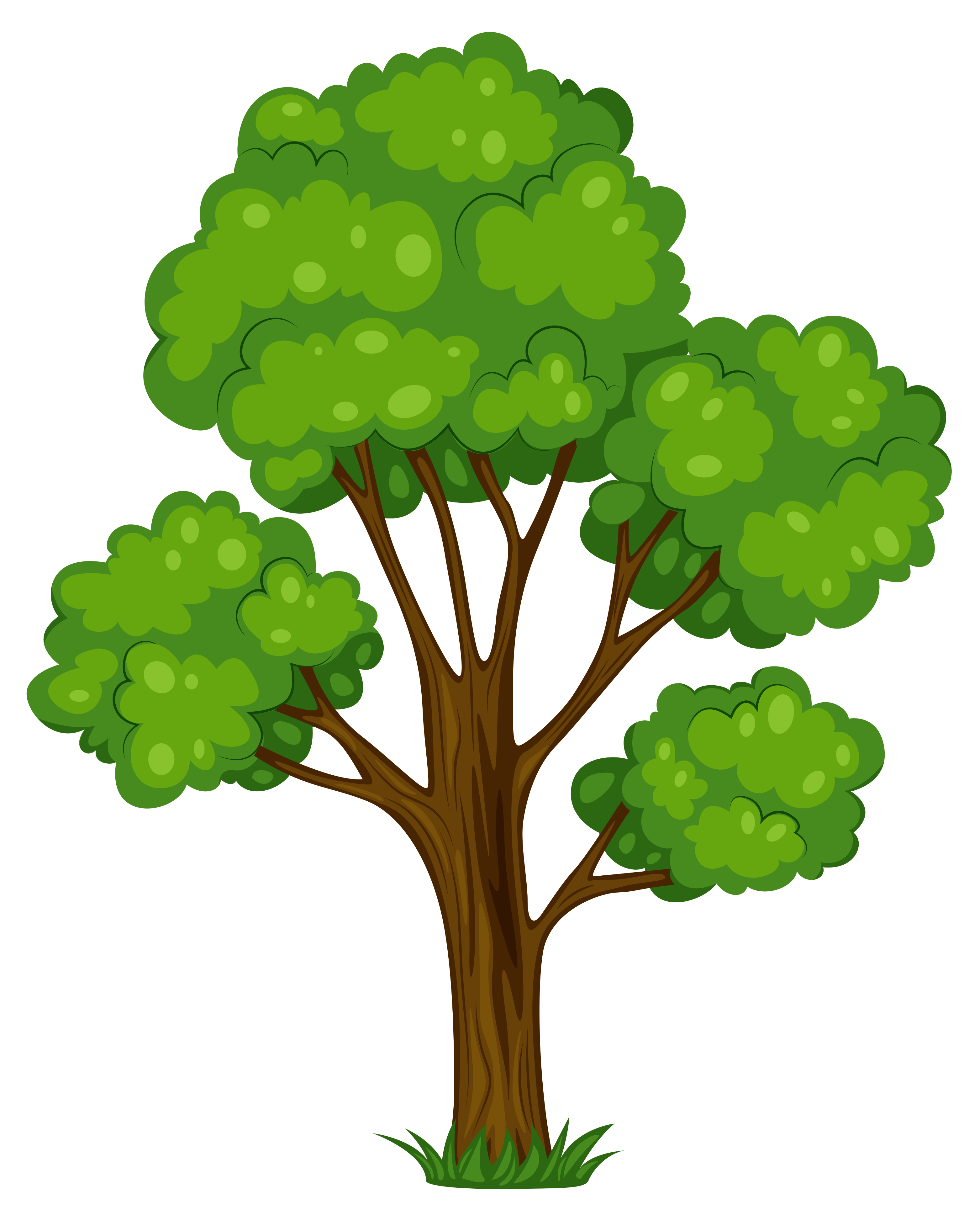 3126x3842 Clipart Free Trees