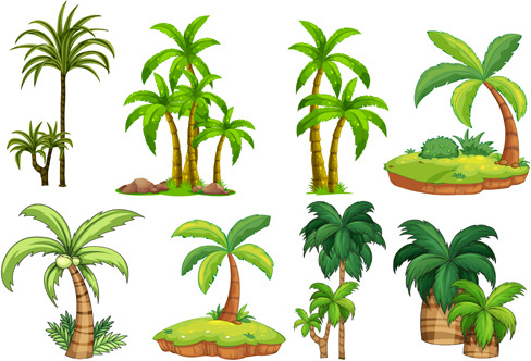 488x332 Palm Tree Free Vector Download (4,940 Free Vector) For Commercial