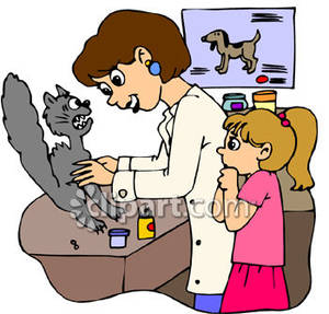 300x287 Scared Cat At A Veterinary Clinic Royalty Free Clipart Picture