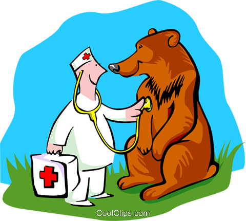 480x430 Veterinarian Checking On Bear Royalty Free Vector Clip Art