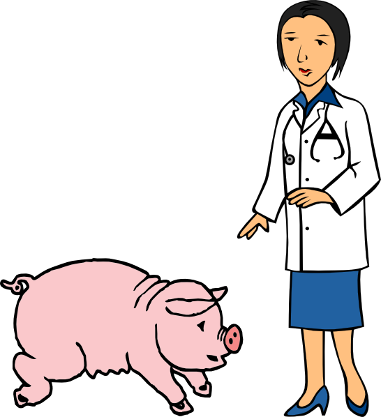 546x598 Doctor And Pig Clip Art