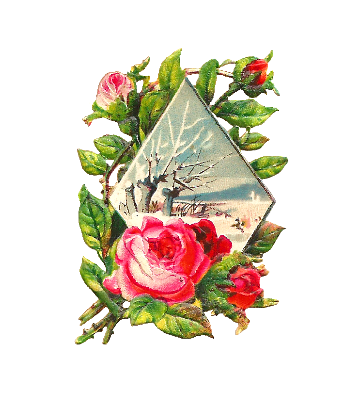 710x810 Vintage Flower Clipart Winter Flower
