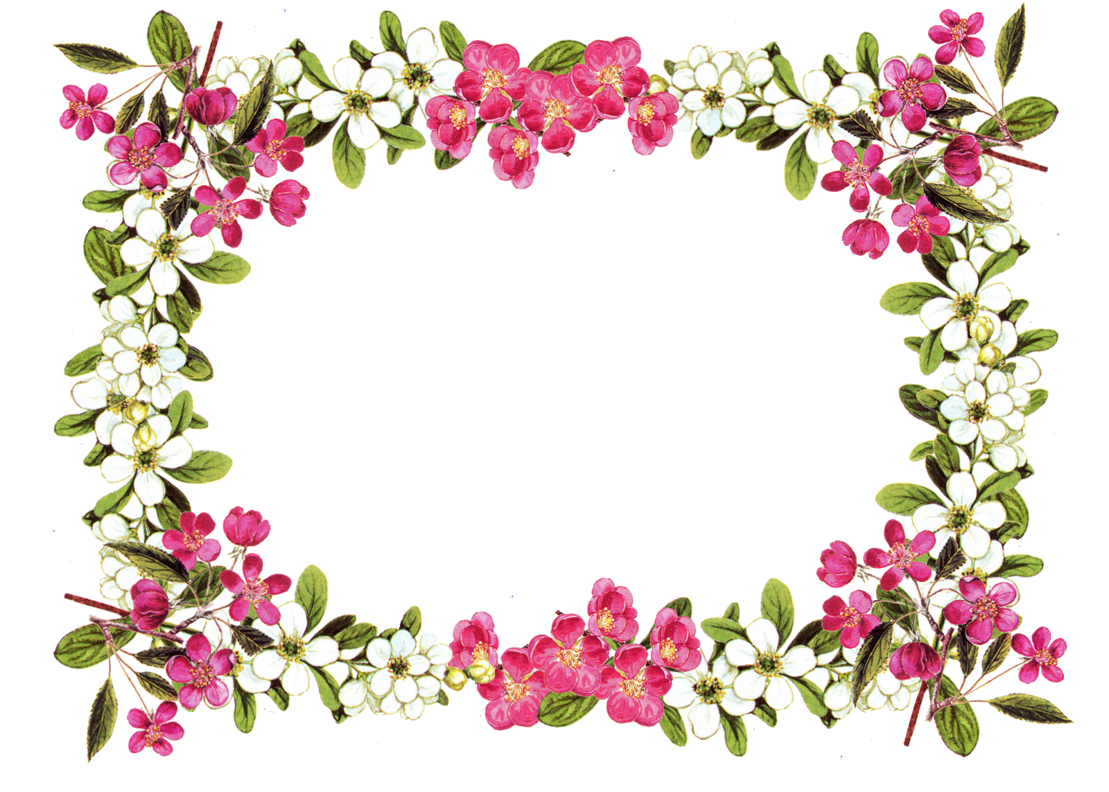 1600x1143 Vintage Flower Frame Border Png Free Download Digital