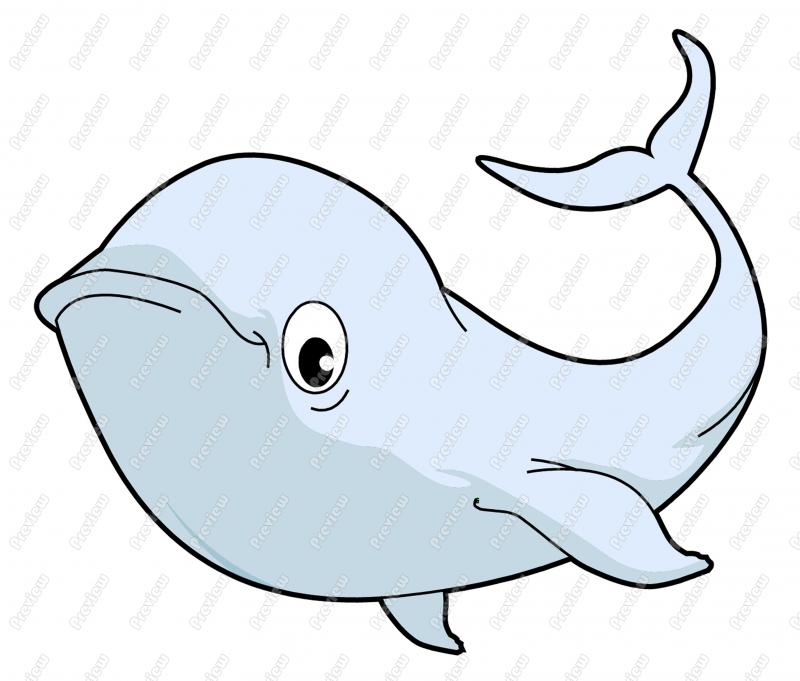 800x681 Baluga Whale Character Clip Art