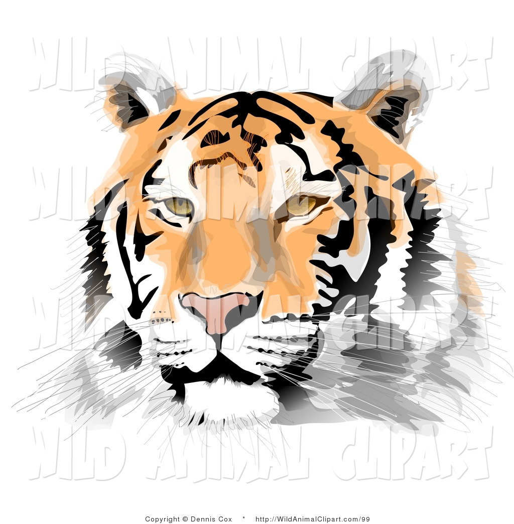 1024x1044 Bengal Clipart Wildcat