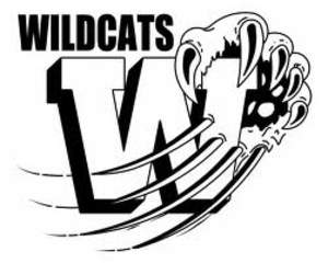300x240 Wildcat Clipart Vector