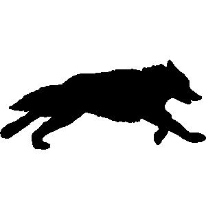300x300 Wolf Clipart Coyote