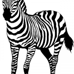 150x150 Zebra Clipart Black And White Zebra Clip Art Black And White Free