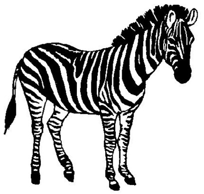 409x390 Zebra Clip Art Black And White Free Clipart Images