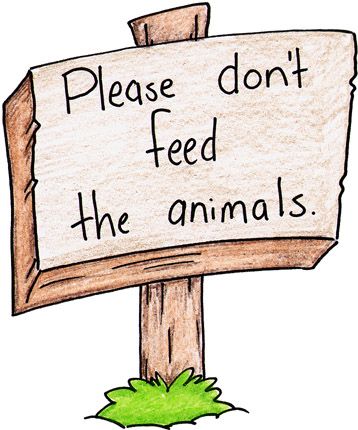 358x430 Best Zoo Clipart Ideas Zoo Pictures, Jungle