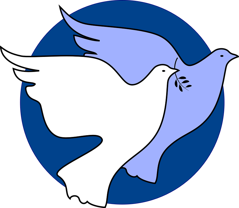 827x720 Dove Clipart Freedom