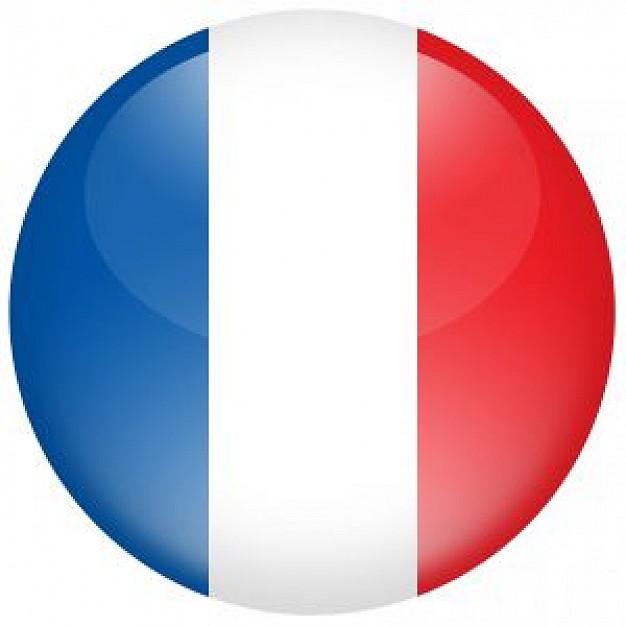 626x626 French Flag Photo Free Download