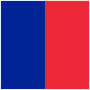 300x300 French Flag Colors,meaning And History