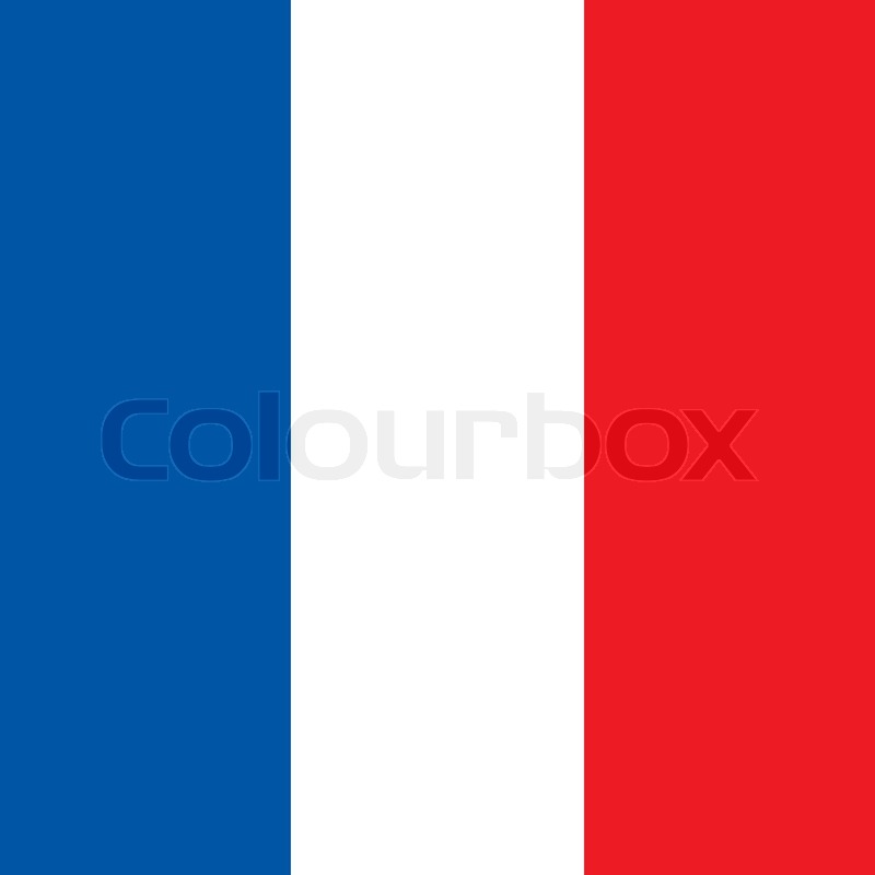 800x800 French Square Flag
