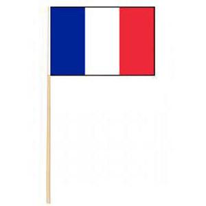 300x300 Mini French Flag