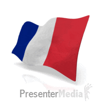 220x220 French Flag Flying