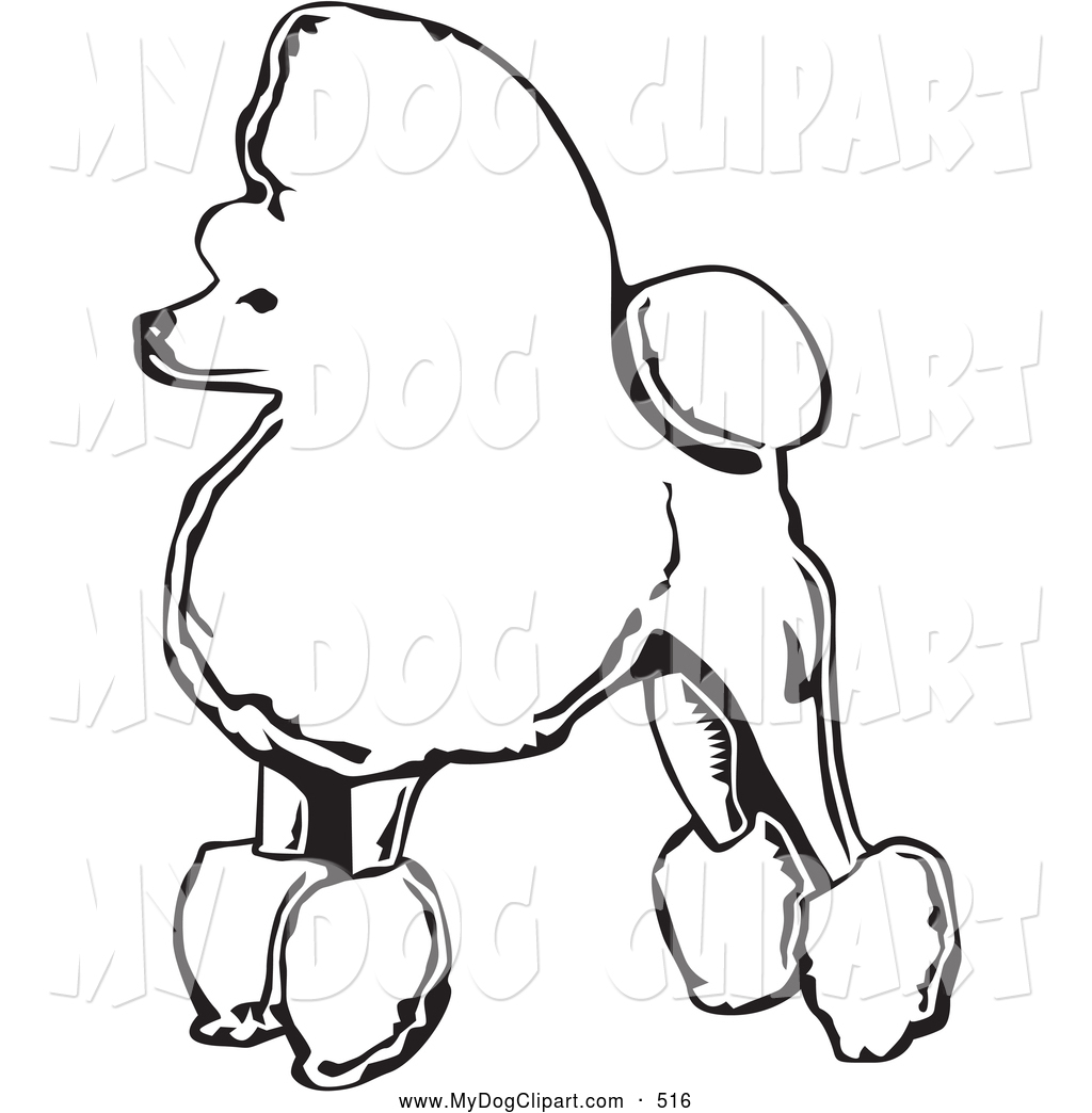 1024x1044 Toy Poodle Clipart