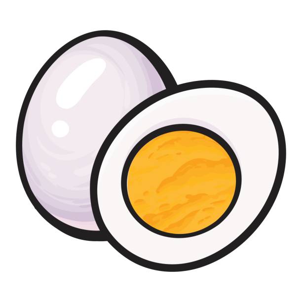 612x612 Half Egg Clipart Amp Half Egg Clip Art Images